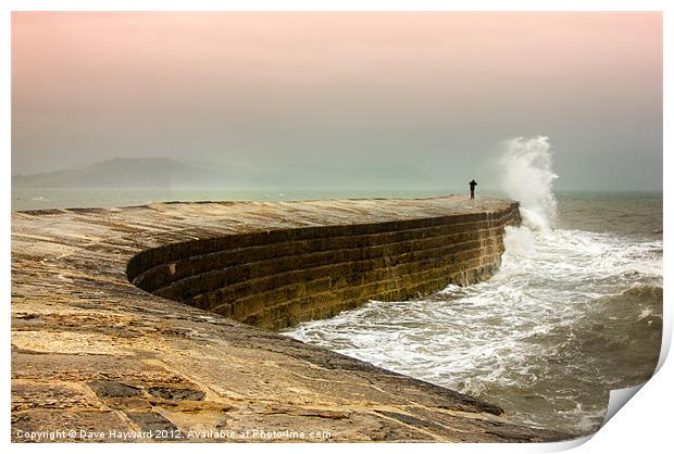 Cobb Wave Print by Dave Hayward