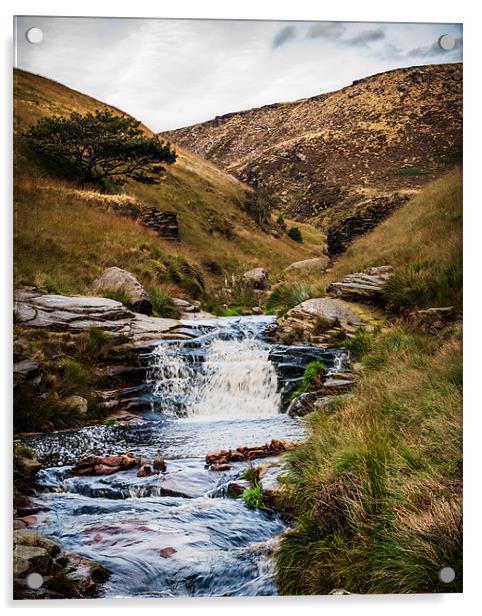 Moorland Stream Acrylic by Jeni Harney