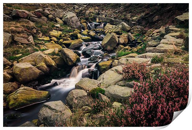 Water, Rocks and Heather Print by Jeni Harney