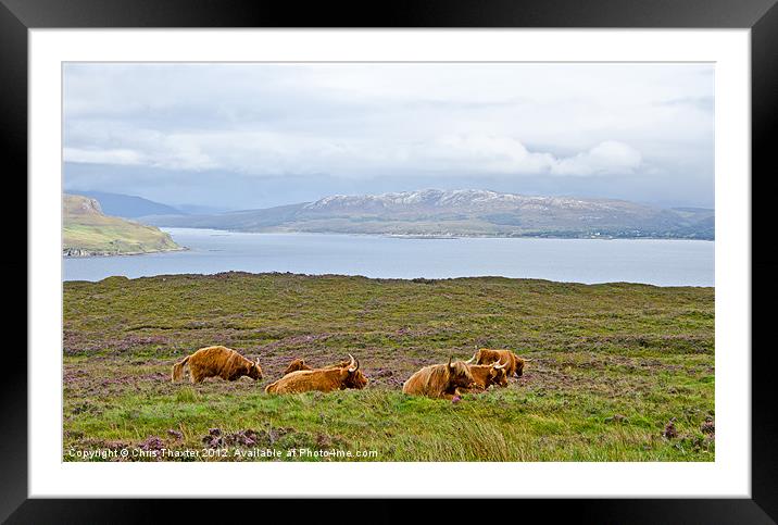 Herd with a View Framed Mounted Print by Chris Thaxter