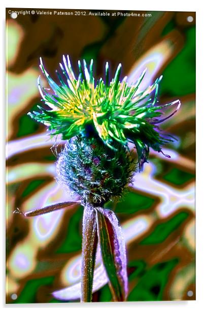 Tartan Thistle Acrylic by Valerie Paterson