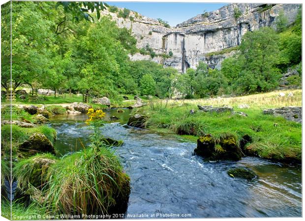 Below Malham Cove Canvas Print by Colin Williams Photography