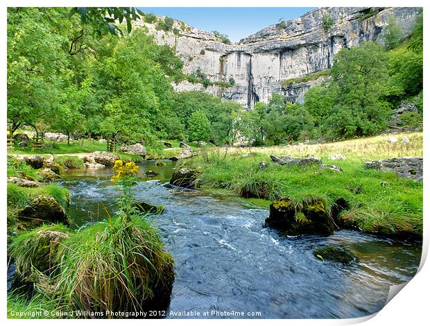 Below Malham Cove Print by Colin Williams Photography