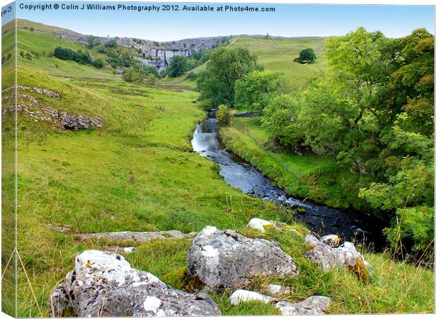 Malham Cove - North Yorkshire Canvas Print by Colin Williams Photography