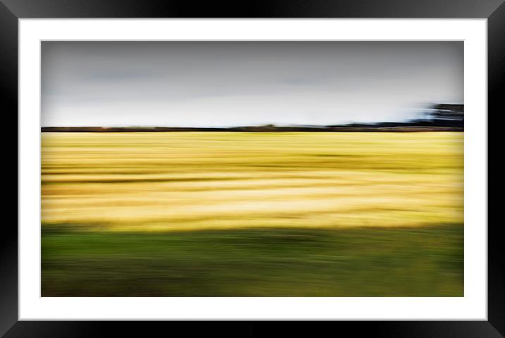 Flying By Framed Mounted Print by richard downes