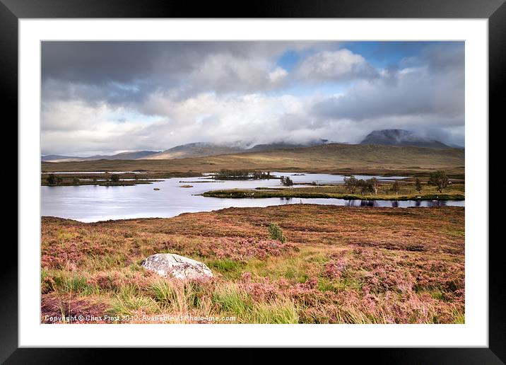 Rannoch Moor Heather Framed Mounted Print by Chris Frost