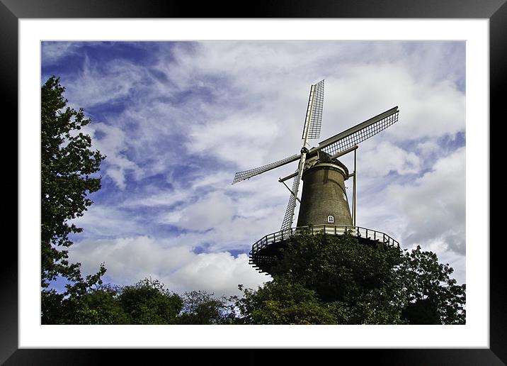 De Valk,  Windmill museum Framed Mounted Print by Buster Brown