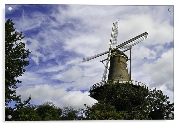 De Valk,  Windmill museum Acrylic by Buster Brown