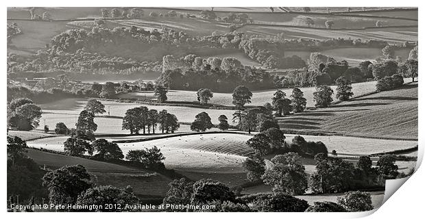 Morning light on fields - B&W version Print by Pete Hemington