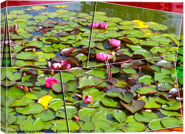 Lily pond in the frame Canvas Print by Robert Gipson