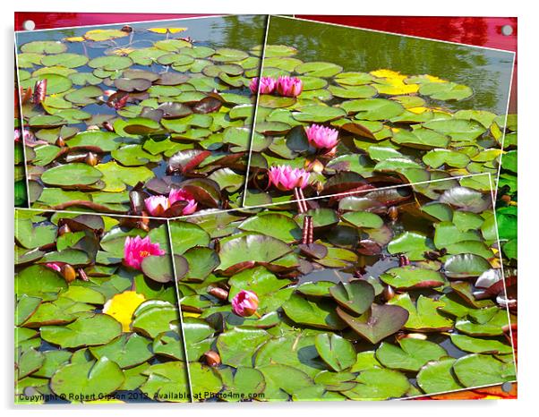 Lily pond in the frame Acrylic by Robert Gipson