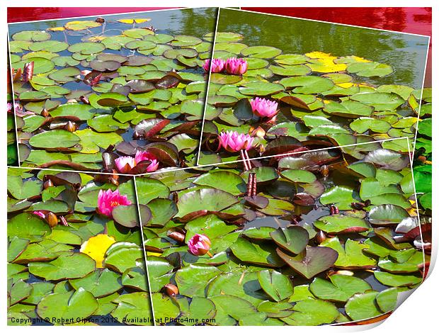 Lily pond in the frame Print by Robert Gipson