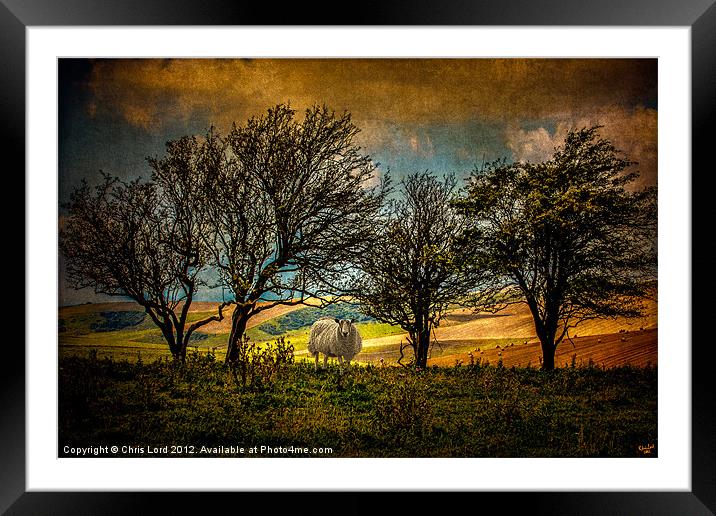 Up on the Downs Framed Mounted Print by Chris Lord