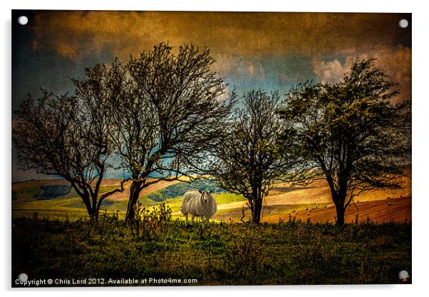 Up on the Downs Acrylic by Chris Lord