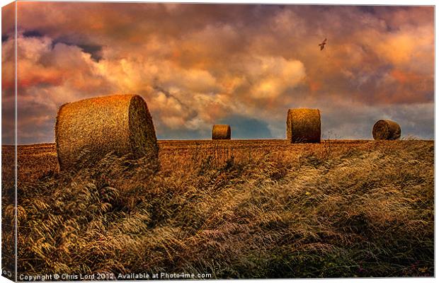 The Hayfield Canvas Print by Chris Lord