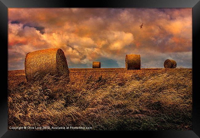 The Hayfield Framed Print by Chris Lord