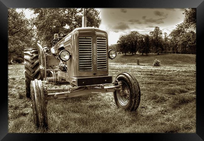 Vintage Tractor Framed Print by Gavin Wilson