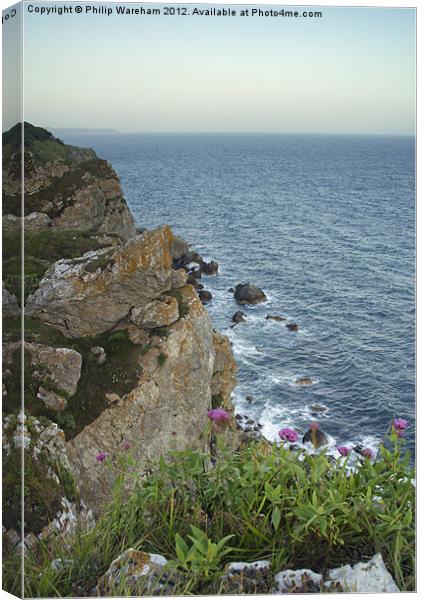 Cliffs at Dungy Head Canvas Print by Phil Wareham