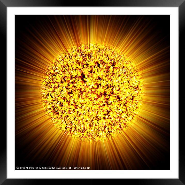 Sun Flower Framed Mounted Print by Karen Magee