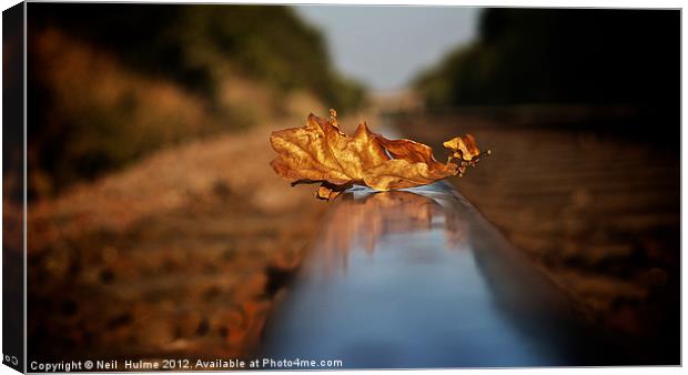 DELAY'S (due to a leaf on the line) Canvas Print by Neil  Hulme