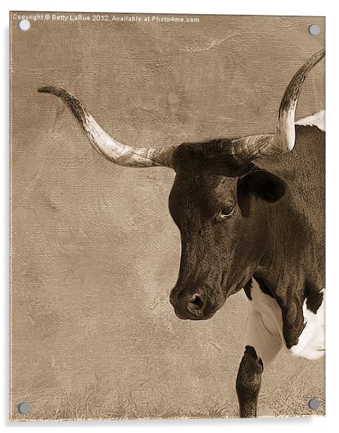 Texas Longhorn #5 Acrylic by Betty LaRue