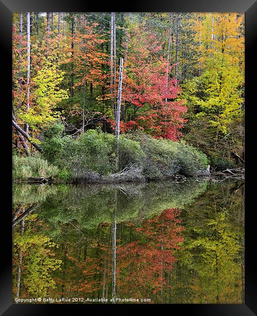 Pond Autumn Reflections Framed Print by Betty LaRue