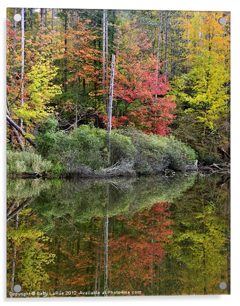 Pond Autumn Reflections Acrylic by Betty LaRue