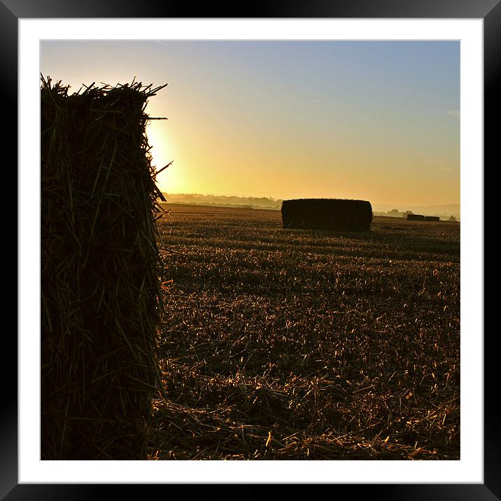 Harvest Sunrise Framed Mounted Print by graham young
