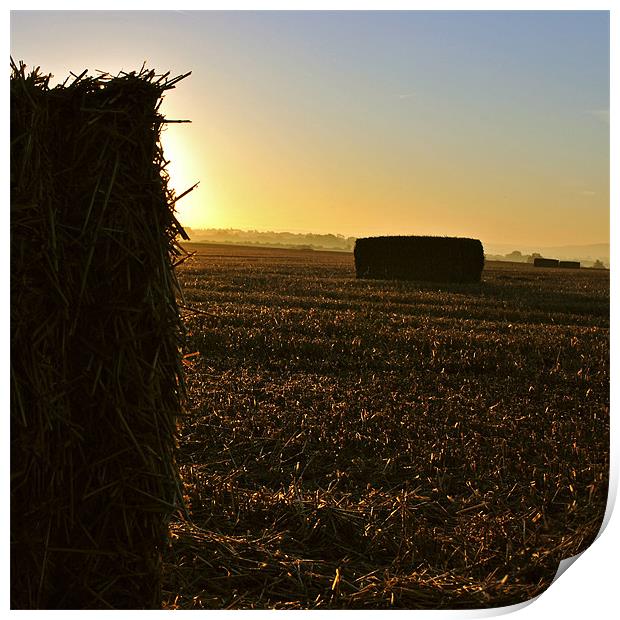 Harvest Sunrise Print by graham young