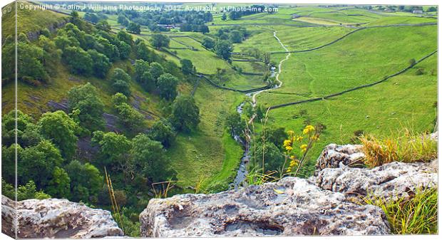 The Path To Malham Cove Canvas Print by Colin Williams Photography
