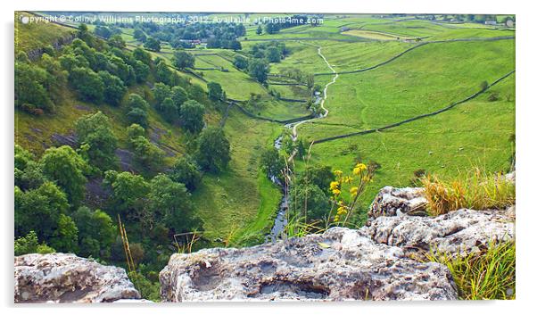 The Path To Malham Cove Acrylic by Colin Williams Photography