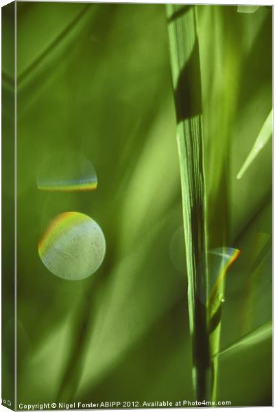 Grass Canvas Print by Creative Photography Wales