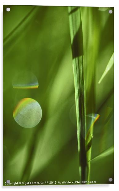 Grass Acrylic by Creative Photography Wales