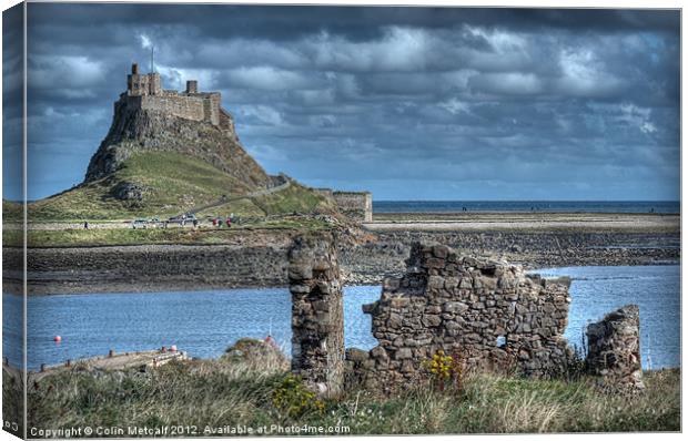 Lindifarne Castle (Holy Island) Canvas Print by Colin Metcalf