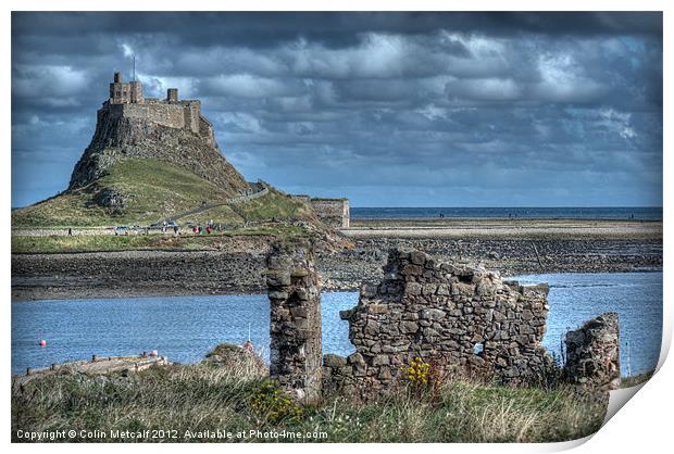 Lindifarne Castle (Holy Island) Print by Colin Metcalf