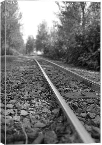 On the tracks, Willen Lake Canvas Print by David Wilkins