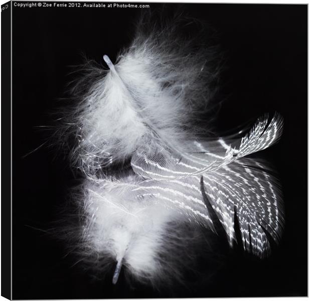A Feather and its Reflection Canvas Print by Zoe Ferrie