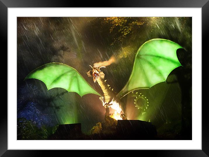 Enchanted Dragon Framed Mounted Print by Fraser Hetherington
