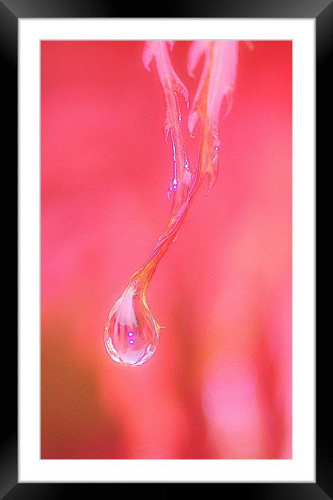 Abstract Water Drop Framed Mounted Print by Louise Godwin