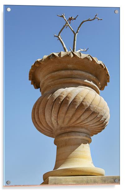 Upward view Rajasthan stone Plant pot Acrylic by Arfabita  