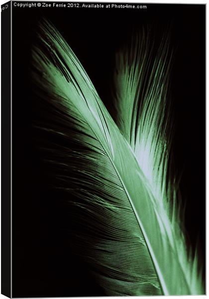 Feather and it's reflection Canvas Print by Zoe Ferrie