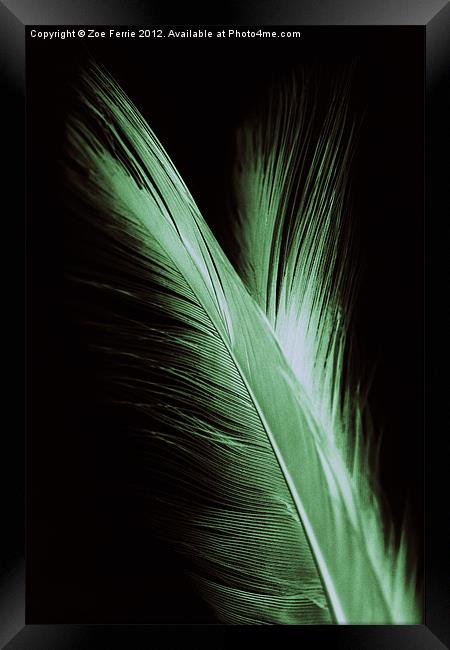 Feather and it's reflection Framed Print by Zoe Ferrie