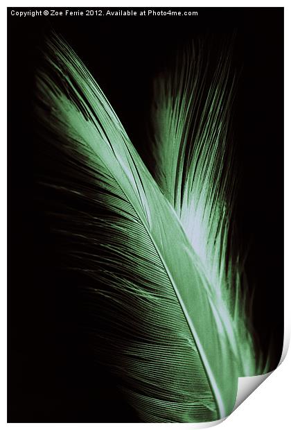 Feather and it's reflection Print by Zoe Ferrie