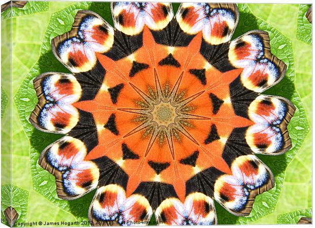 Peacock Butterfly Kaleidoscope Canvas Print by James Hogarth