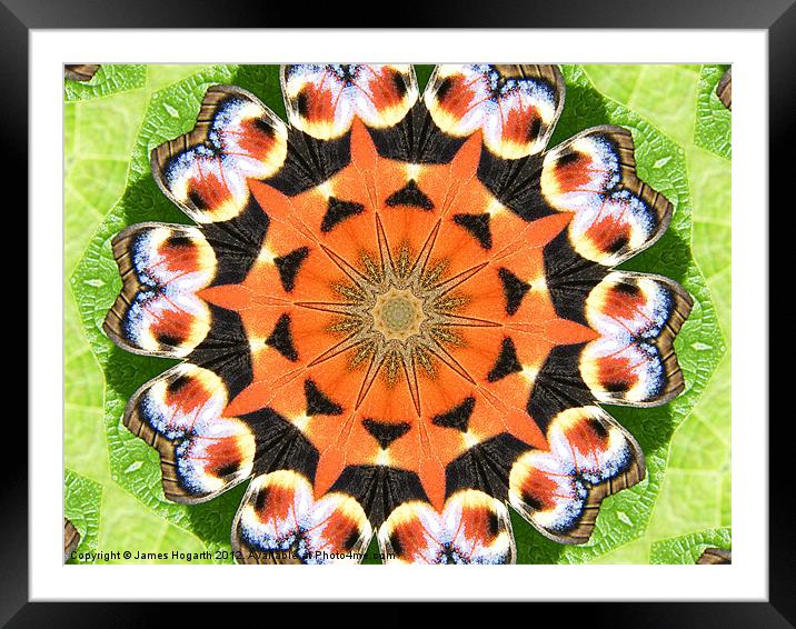 Peacock Butterfly Kaleidoscope Framed Mounted Print by James Hogarth