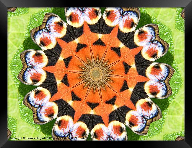 Peacock Butterfly Kaleidoscope Framed Print by James Hogarth