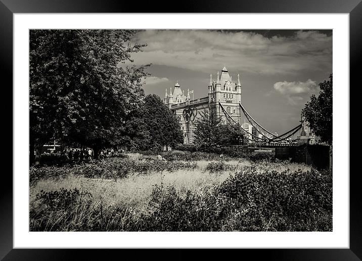 London Overgrown Framed Mounted Print by Neal P