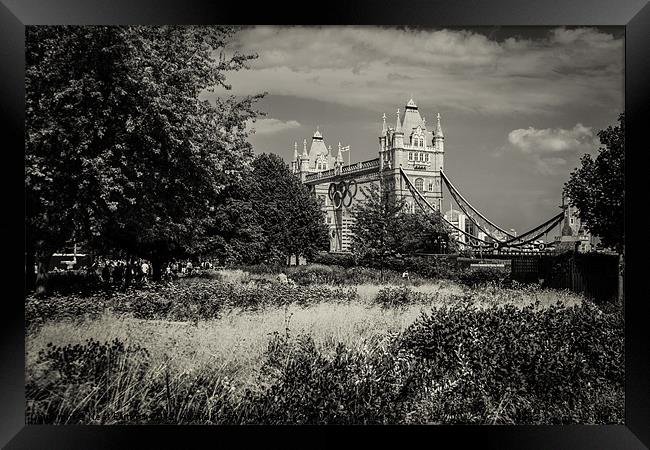 London Overgrown Framed Print by Neal P