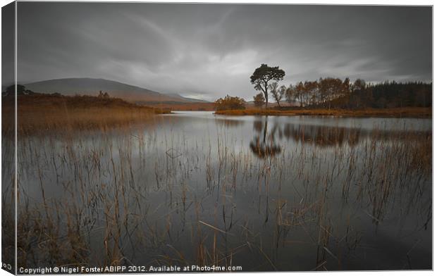 Loch Ba reflection Canvas Print by Creative Photography Wales