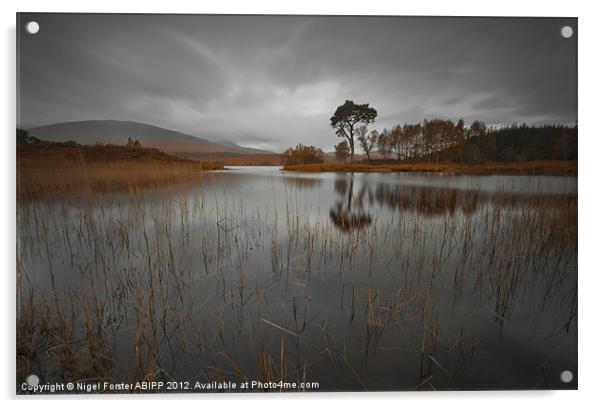 Loch Ba reflection Acrylic by Creative Photography Wales